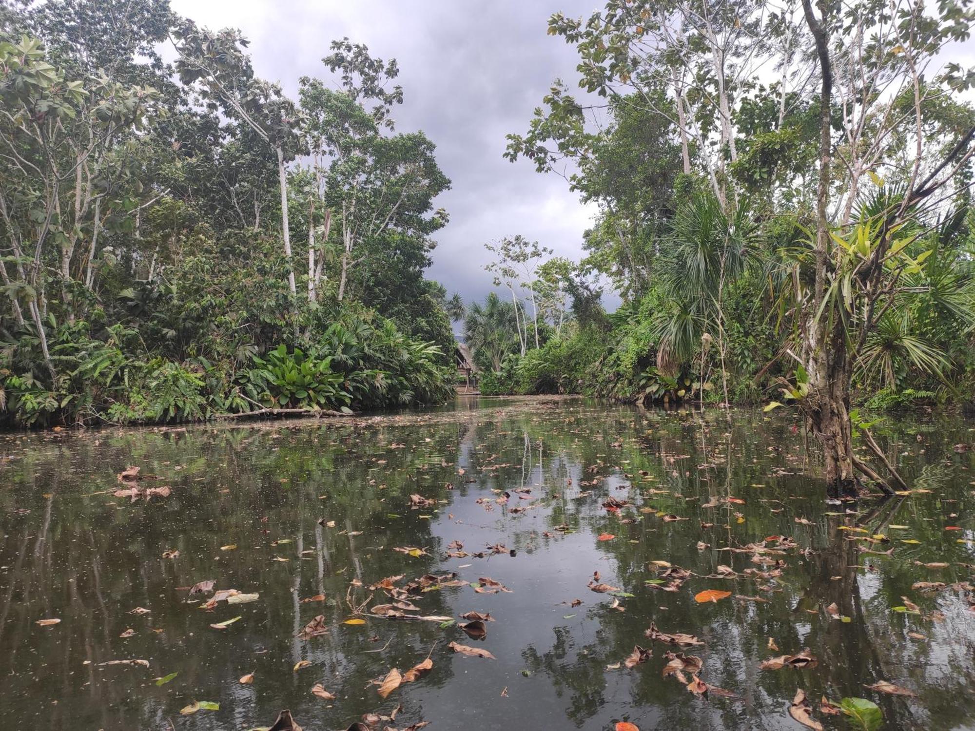 Misahualli Laguna Paikawe B&B Quarto foto